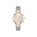 Hugo Boss Damenuhr Chronograph Edelstahl silber gold